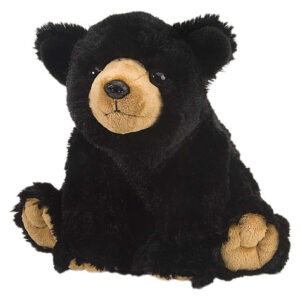 CK BLACK BEAR 12