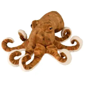 CK OCTOPUS