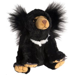 CK SLOTH BEAR