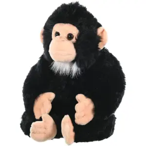 CK CHIMP