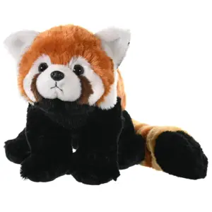 CK RED PANDA