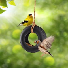 SWING TIME BIRDFEEDER