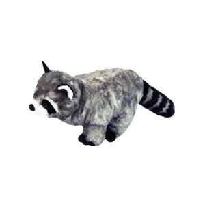 RACCOON