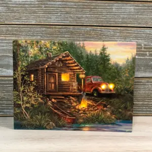 CABIN LIFE