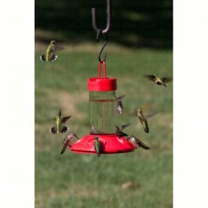 DR JBS CLEAN FEEDER RED