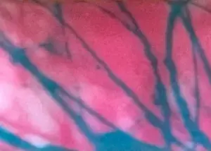 DRINK HANDLE PINK & TEAL
