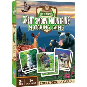 JR RANGER GSM MATCHING GAME