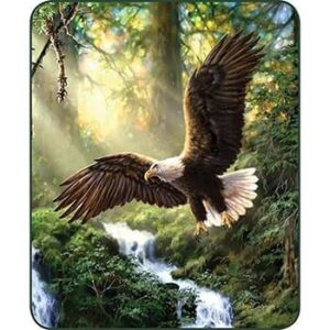EAGLES FLIGHT THROW