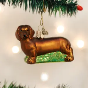 DACHSHUND