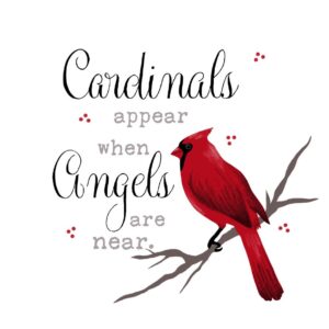 CARDINALS APPEAR WHEN ANGELS PIL