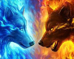 FIRE & ICE