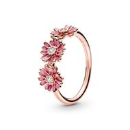PINK DAISY FLOWER TRIO