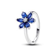 HERBARIUM CLUSTER BLUE