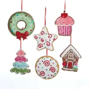 6 A CLAYDOUGH GINGERSNAP